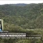 'Madagascar on Fire': New film highlights deforestation in Madagascar