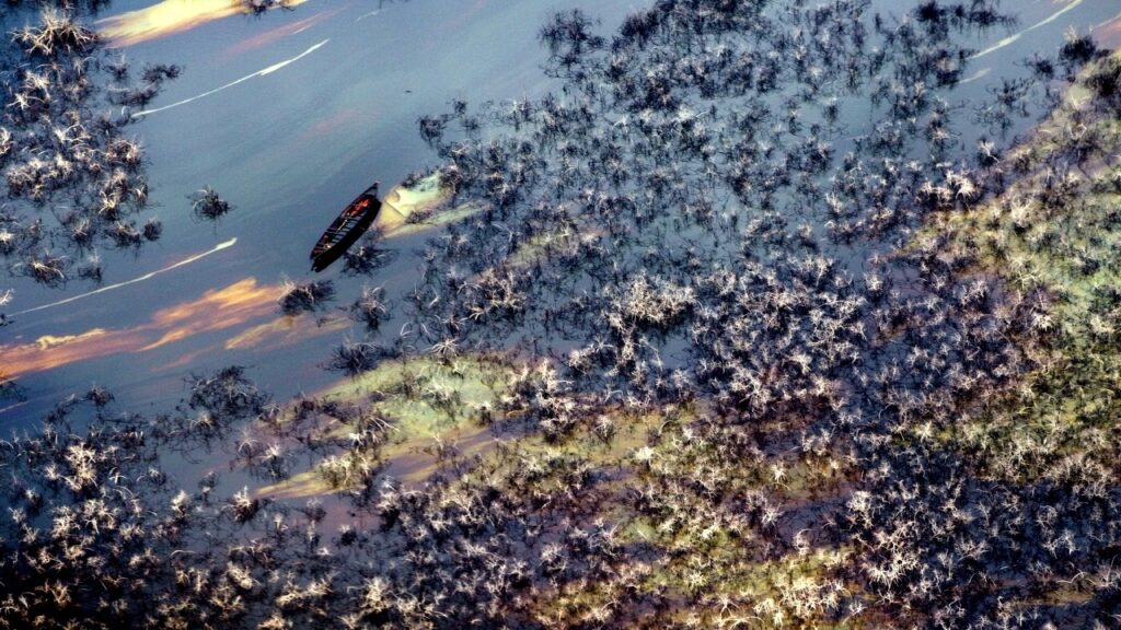 Nigerian communities take Shell to court over oil spills