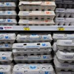 US: Unusually high egg prices spark concern