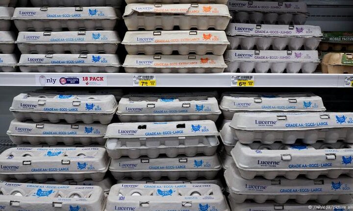 US: Unusually high egg prices spark concern