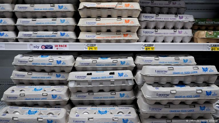 US: Unusually high egg prices spark concern