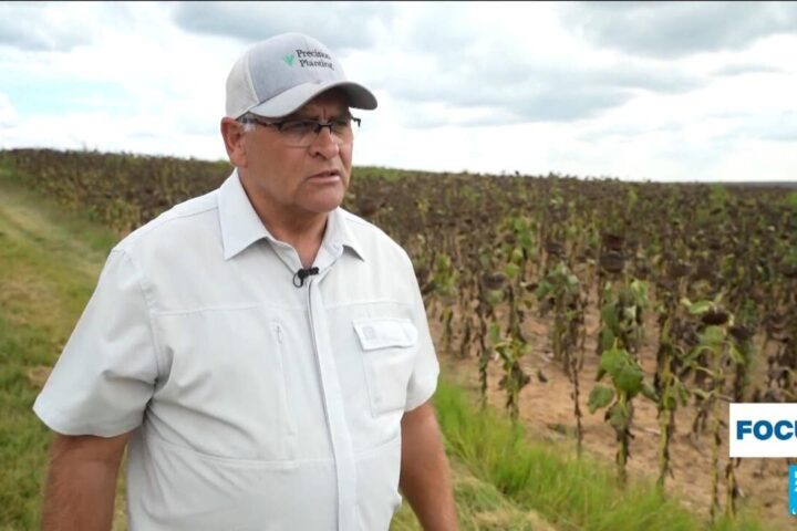 In South Africa, some White farmers seek Trump's support over expropriation law