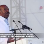 Gabon's ousted Ali Bongo released from detention