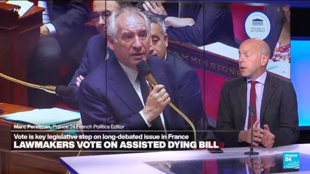 France's assisted dying bill: What's in it?