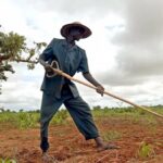 Burundi: Students boost food security with AI