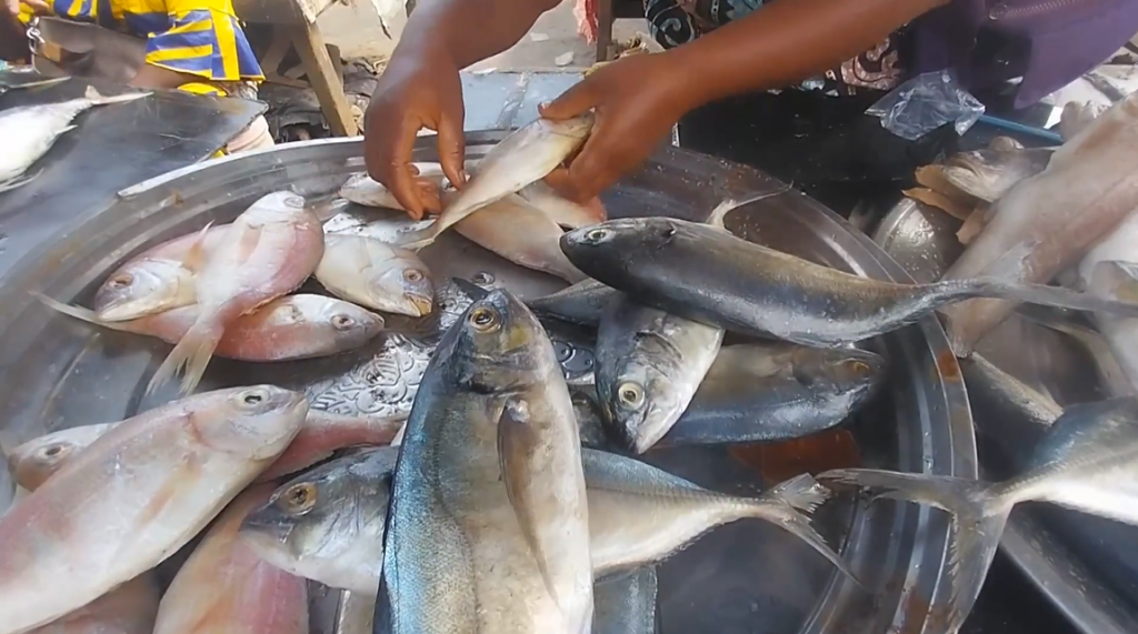 Ivory Coast maintains fishing ban to recover fish stocks