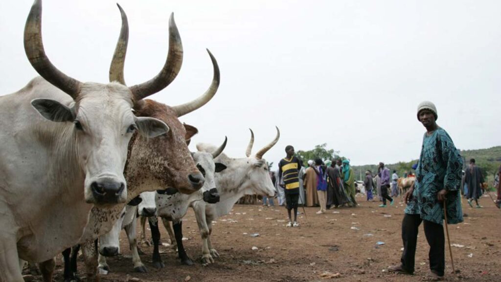 Is creation of Nigeria's livestock ministry viable option?