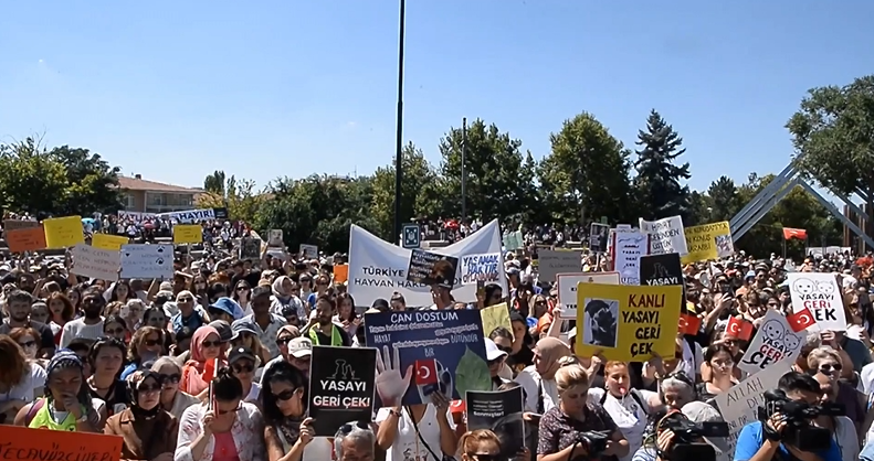 Protest in Ankara against stray dogs killing