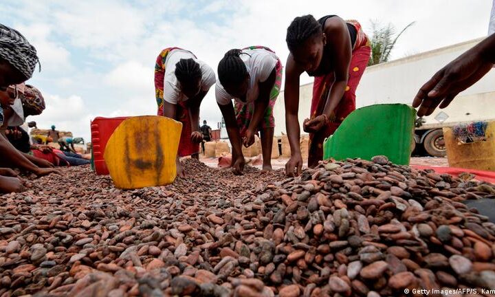 Ivory Coast combats child labor for chocolate