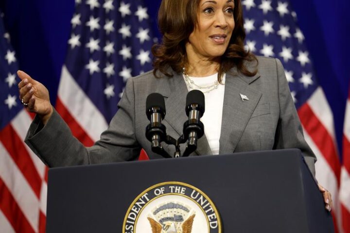 Could VP Kamala Harris beat Donald Trump in US election?