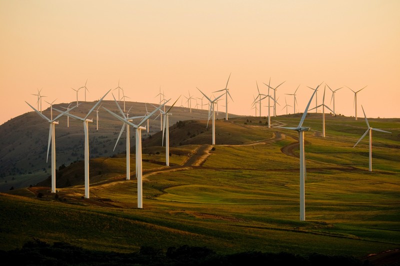 Wind power becomes bigger source of electricity than coal in the US