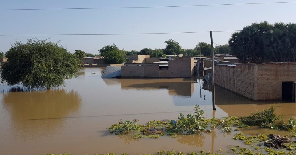 More than 90 dead and 340,000 people affected by the August floods in Chad