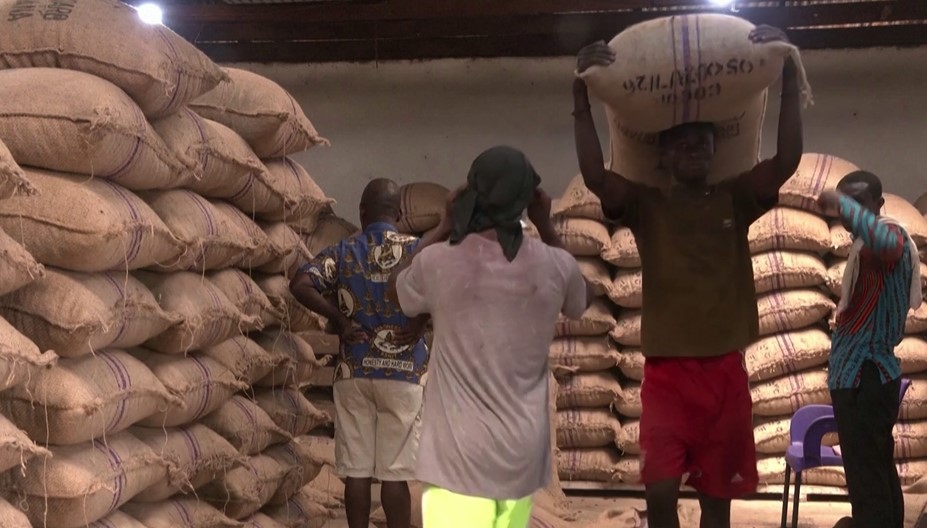 Why is Ghana losing so much of its cocoa to smuggling?