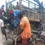 At least 48 people killed in Nigerian fuel truck explosion