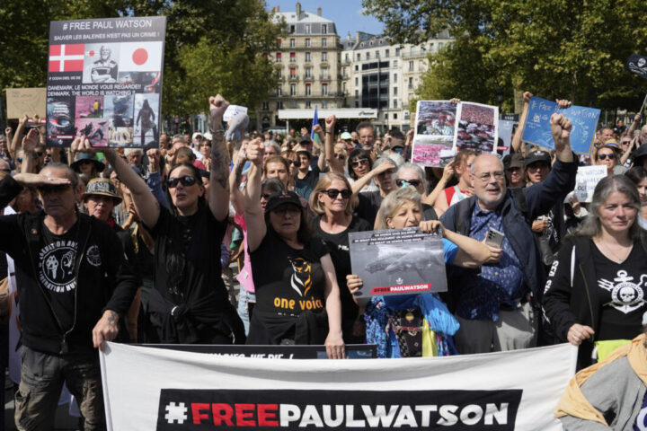 Paul Watson’s detention extended