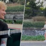 Ed Sheeran's serendipitous serenade for lucky jogger