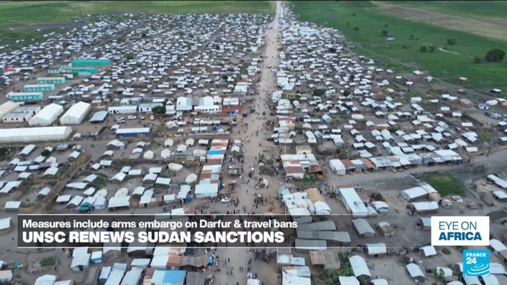 UNSC renews Sudan sanctions; NGOs say it's not enough