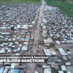 UNSC renews Sudan sanctions; NGOs say it's not enough