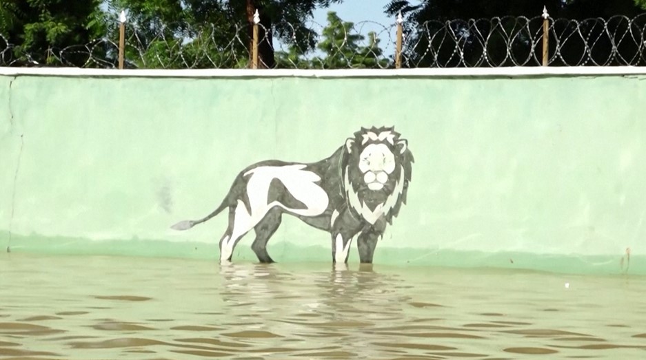 Floods decimate Nigerian zoo, wash animals into community