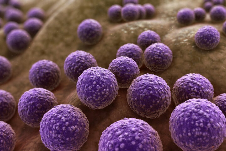 antimicrobial resistance