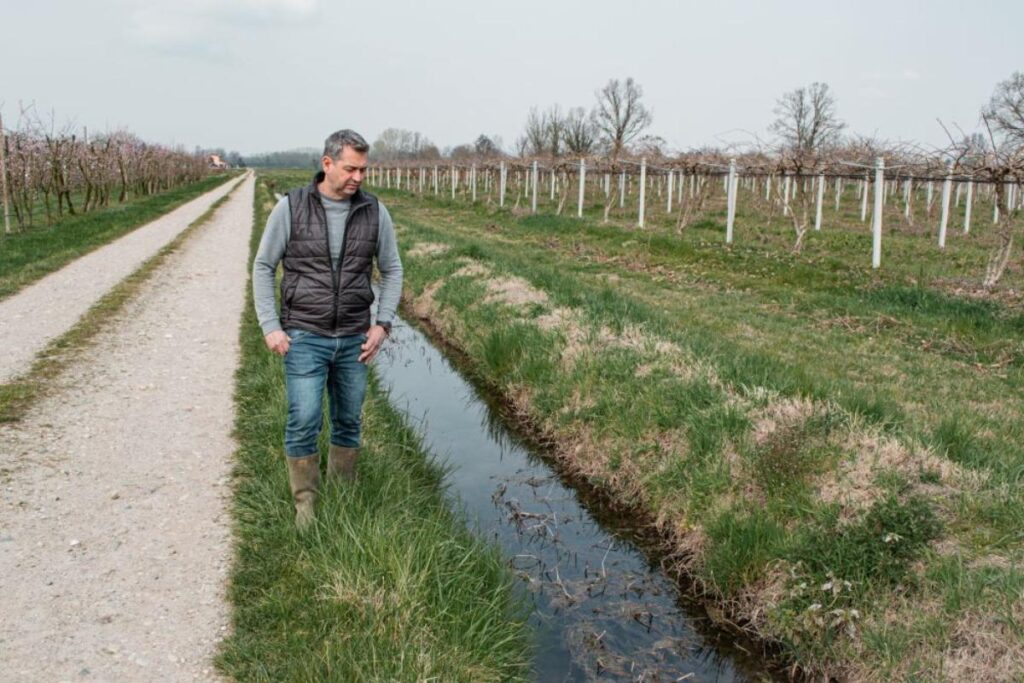 Greece's water shortages spare tourists, leave farmers dry