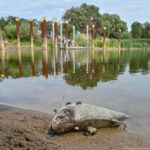 Poland: 2022 Oder River disaster has affected local tourism