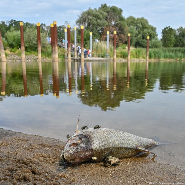 Poland: 2022 Oder River disaster has affected local tourism