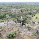 Brazilian rancher charged with illegally deforesting large stretch of Amazon