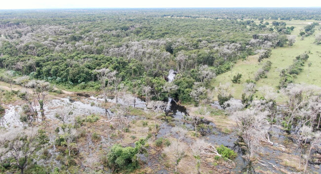 Brazilian rancher charged with illegally deforesting large stretch of Amazon