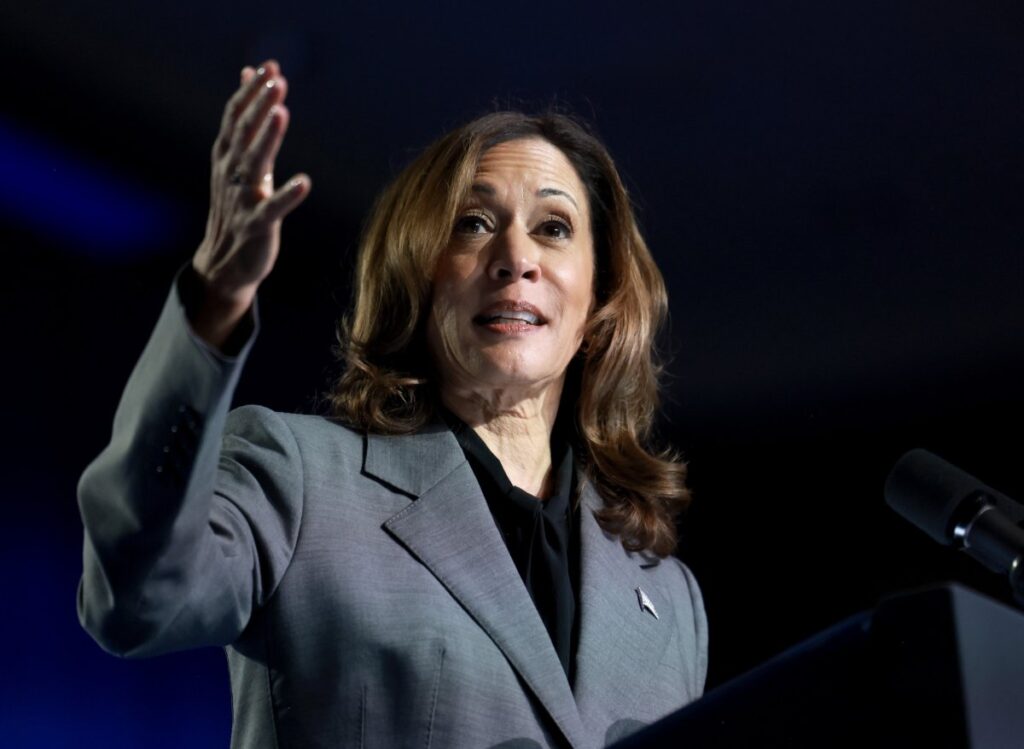 US election 2024: Will Kamala Harris win over Muslim voters?