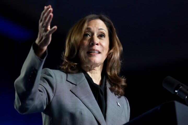 US election 2024: Will Kamala Harris win over Muslim voters?