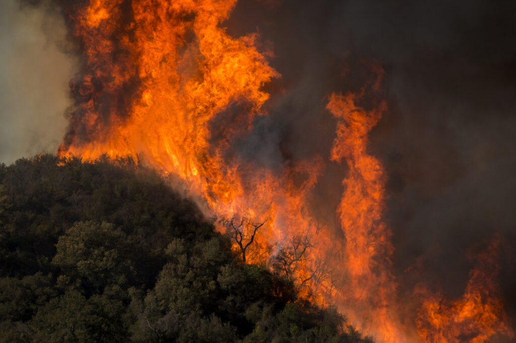 Devastating wildfires cover South America in smoke