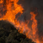 Devastating wildfires cover South America in smoke