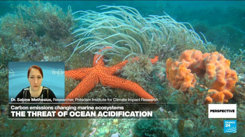 Climate change and the threat of ocean acidification