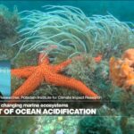 Climate change and the threat of ocean acidification