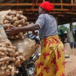 Nigeria acquires $134 million loan for farming investment