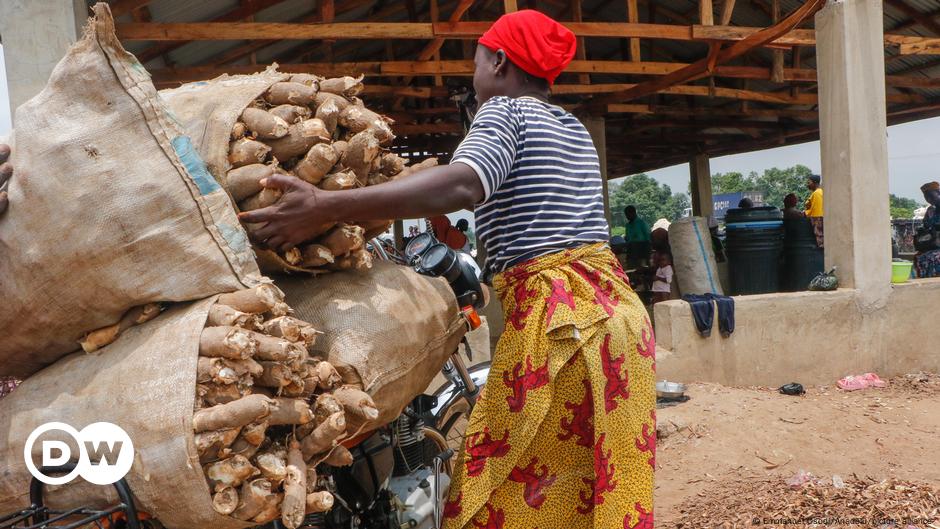 Nigeria acquires $134 million loan for farming investment