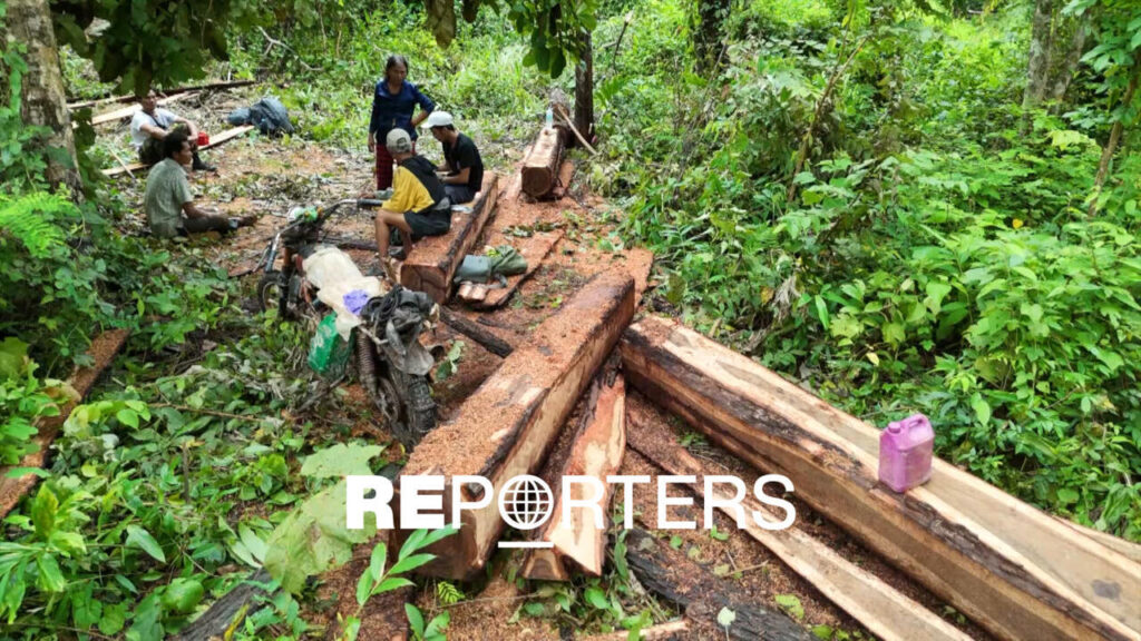 Real carbon, false credits? Investigating mass deforestation in Cambodia