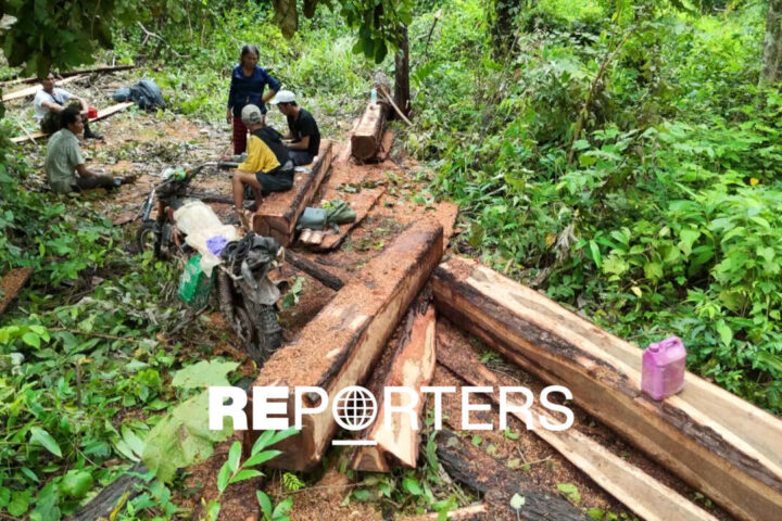 Real carbon, false credits? Investigating mass deforestation in Cambodia