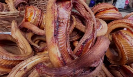 Why you should try snake meat!