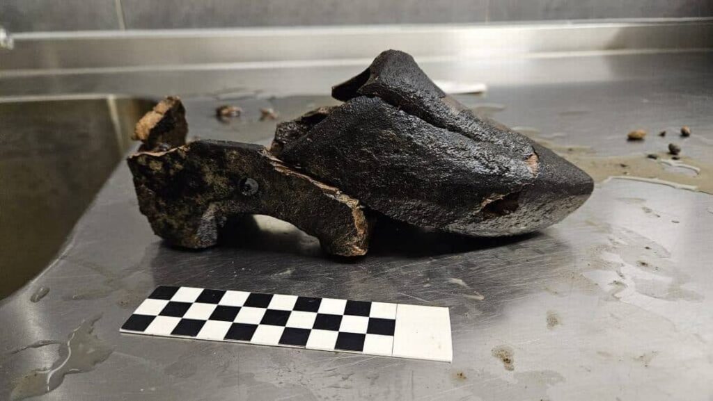 500-year-old Dutch wooden shoe found in former medieval cesspit