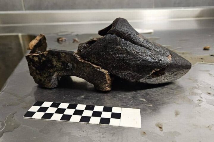 500-year-old Dutch wooden shoe found in former medieval cesspit