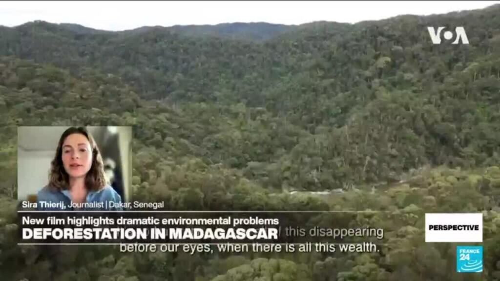 'Madagascar on Fire': New film highlights deforestation in Madagascar