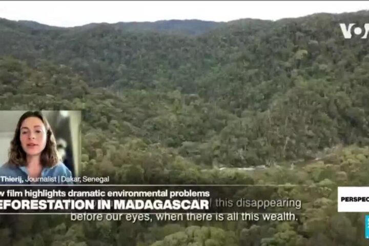 'Madagascar on Fire': New film highlights deforestation in Madagascar