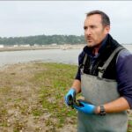 Oysters in hot water: Pollution and poaching threaten production