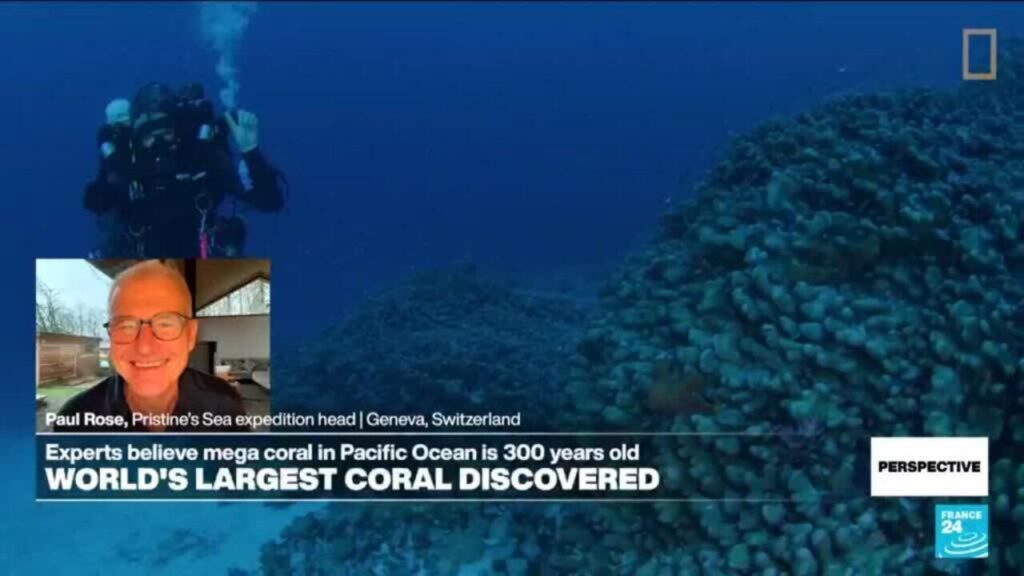 Diver Paul Rose describes 'brilliant feeling' of world's largest coral discovery