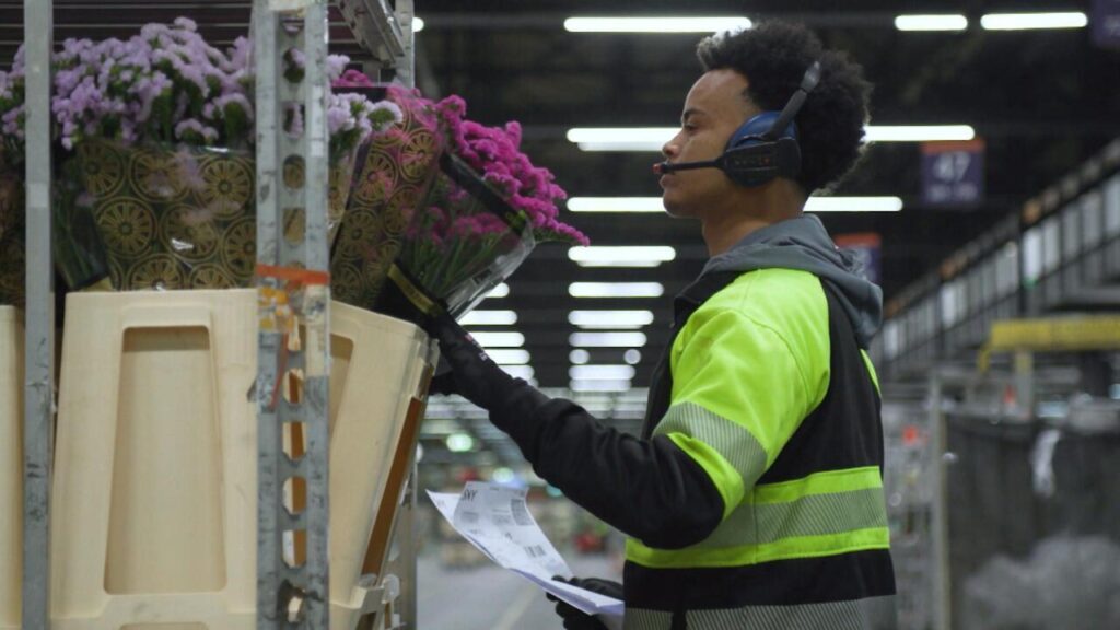 Dutch cut flower industry in hot water over pesticides