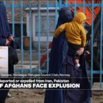 Millions of Afghans face expulsion from Iran and Pakistan 'back to nothing', NGO warns