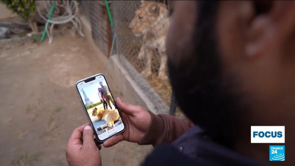 Pakistan's social media influencers seek to gain followers by owning big cats