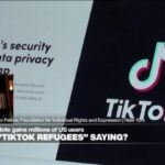 'Nonsensical' to single out one single app, expert says, as TikTok ban looms